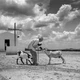 Imagem - Exposição celebra obra do fotojornalista baiano Evandro Teixeira