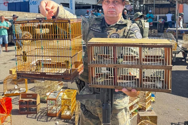 Aves foram resgatados em Alagoinhas por Reprodução