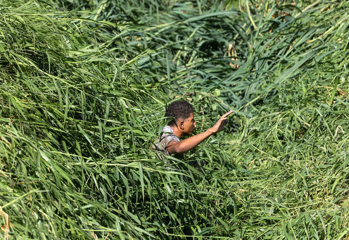 Suspeito saiu de esgoto por Marina Silva/CORREIO