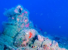 Imagem - Navio afundado há 80 anos é localizada na Bahia e reacende curiosidade sobre naufrágio