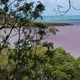 Imagem - Mar de sangue? Descubra o que é o fenômeno de potencial tóxico que assusta moradores e turistas no litoral