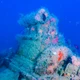 Imagem - Navio afundado há 80 anos é localizada na Bahia e reacende curiosidade sobre naufrágio