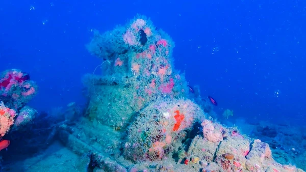 O processo de preparação envolve a remoção total de poluentes e a lavagem detalhada de toda a estrutura interna por Reprodução/Youtube