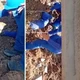Imagem - Trabalhador é soterrado após deslizamento em canteiro de obras na Bahia