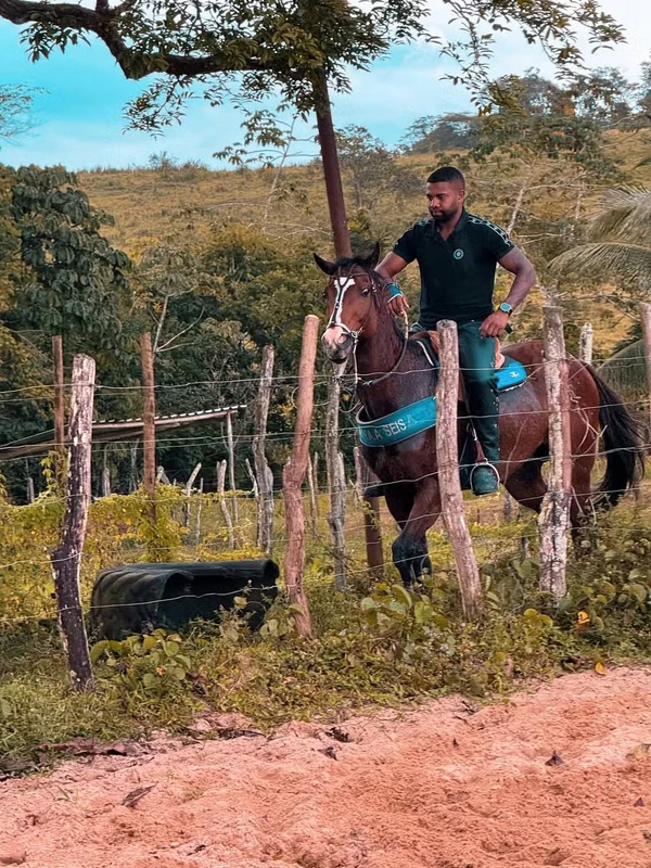 Fazenda do Davi por Reprodução/Instgram