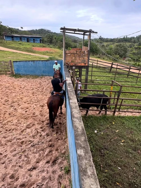 Fazenda do Davi por Reprodução/Instgram