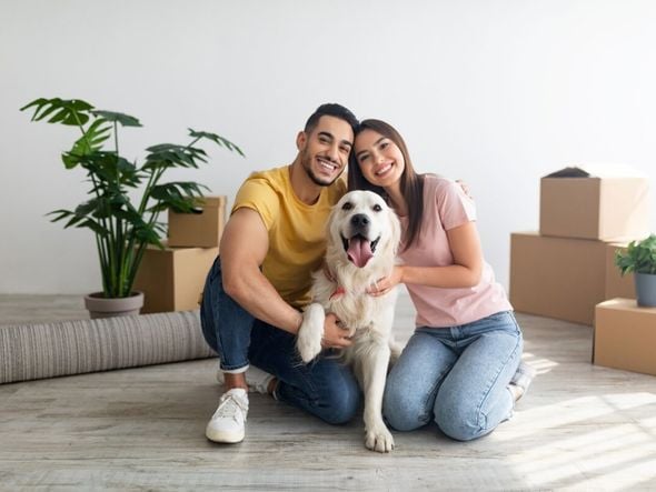 Imagem - Seu animal vai passar por uma mudança na rotina? Veja 7 dicas para ele se adaptar
