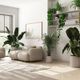 Imagem - Arquiteta explica como aplicar a biofilia na decoração de casa