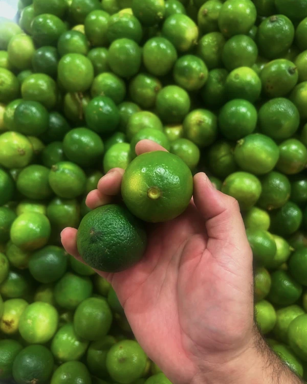 Alimentos que fazem bem a visão por Repprodução (Freepik/Redes Sociais)