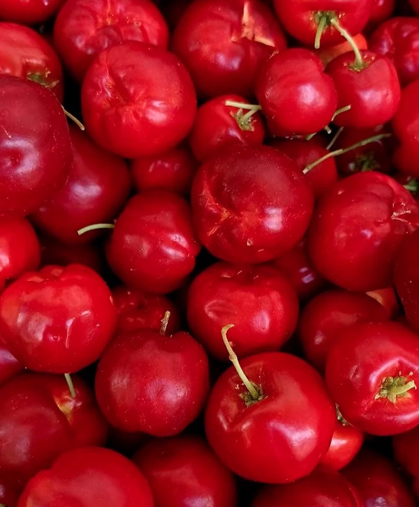 Alimentos que fazem bem a visão por Repprodução (Freepik/Redes Sociais)