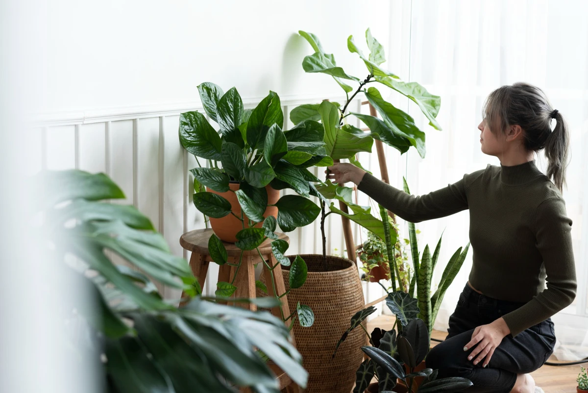 Biofilia em casa por Freepik