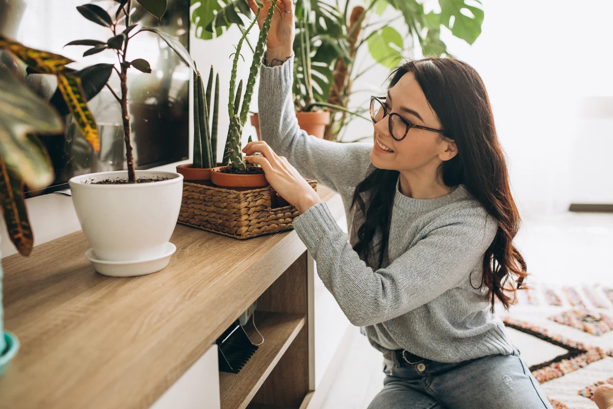 Biofilia em casa por Freepik