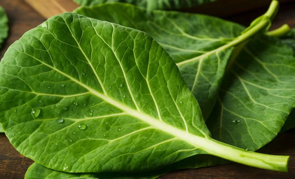 Conheça o segredo verde para combater inflamações e o estresse oxidativo.