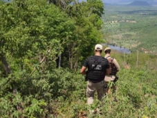 Imagem - Trabalhador rural é morto após discussão por gaiola de passarinho no sul da Bahia