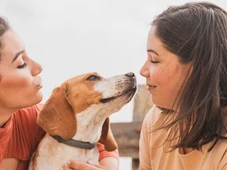 Imagem - Iti, mamãe! Por que cães amam quando conversamos com eles em "voz de bebê"?