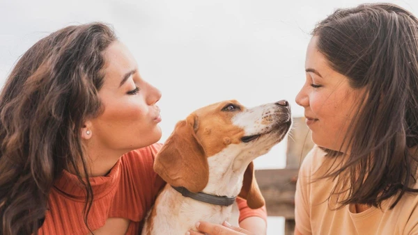 Desvende o segredo por trás da conexão emocional entre humanos e cães através da voz