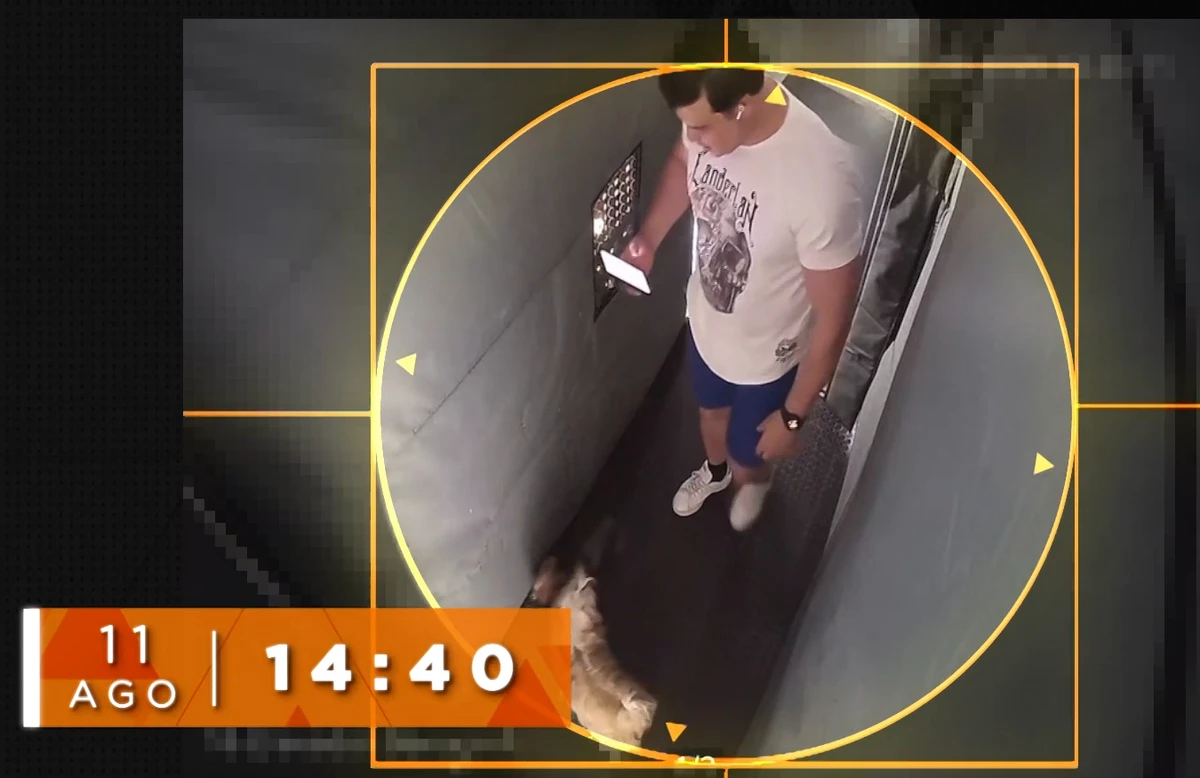 René desceu com dois cachorros para passear por Reprodução/TV Globo