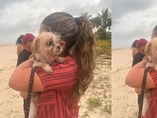 Imagem - Cachorro foi encontrado vivo e amarrado a árvore perto de mulheres mortas em Ilhéus