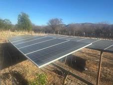 Imagem - Plantação de maconha com sistema de energia solar é descoberta na Bahia