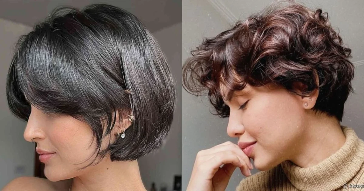 Bixie por Reprodução