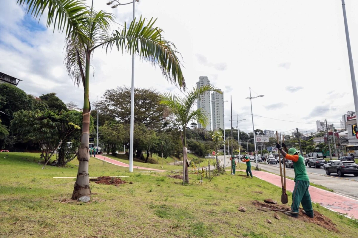 Plantio na região do BRT
