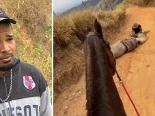Imagem - 'Não sou um monstro', diz jovem que confessou decepar patas de cavalo