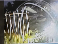 Imagem - Novas imagens mostram três pessoas perto de local onde mulheres foram mortas em Ilhéus