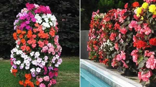 O resultado é surpreendente e vai colorir sua casa até a próxima primavera
