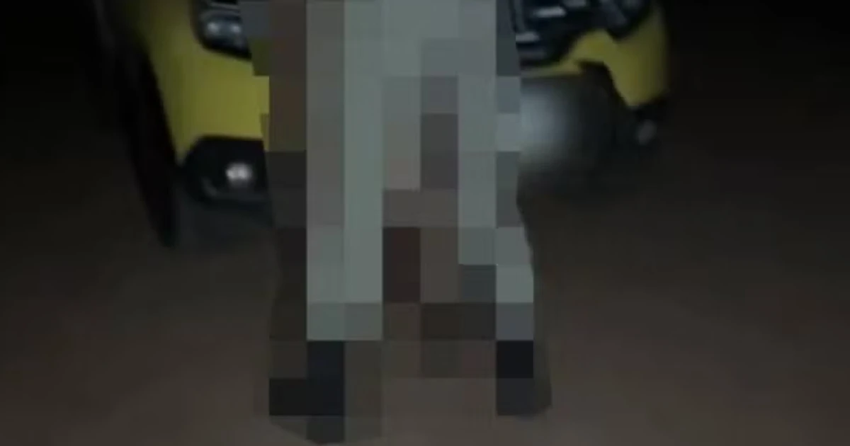 Imagem - PM é investigado após vídeo de sexo em viatura circular em site de conteúdo adulto