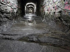 Imagem - O que tem na caverna que nenhum homem poderá se aproximar pelos próximos 100 mil anos