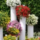 Imagem - Transforme sua casa com uma torre de flores simples usando um cano velho