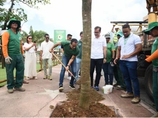 Imagem - Prefeitura de Salvador lança programa Corredores Verdes, que prevê a arborização de avenidas da capital
