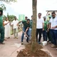 Imagem - Prefeitura de Salvador lança programa Corredor Verde, que prevê a arborização de avenidas da capital