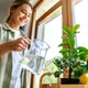 Imagem - Mora em apartamento? Descubra as melhores frutas para cultivar em vasos