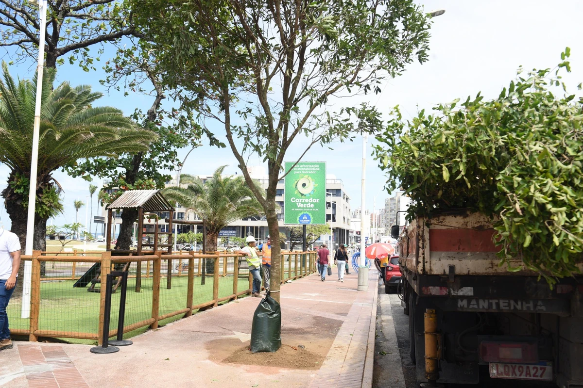 Corredor Verde foi lançado com plantio de árvores
