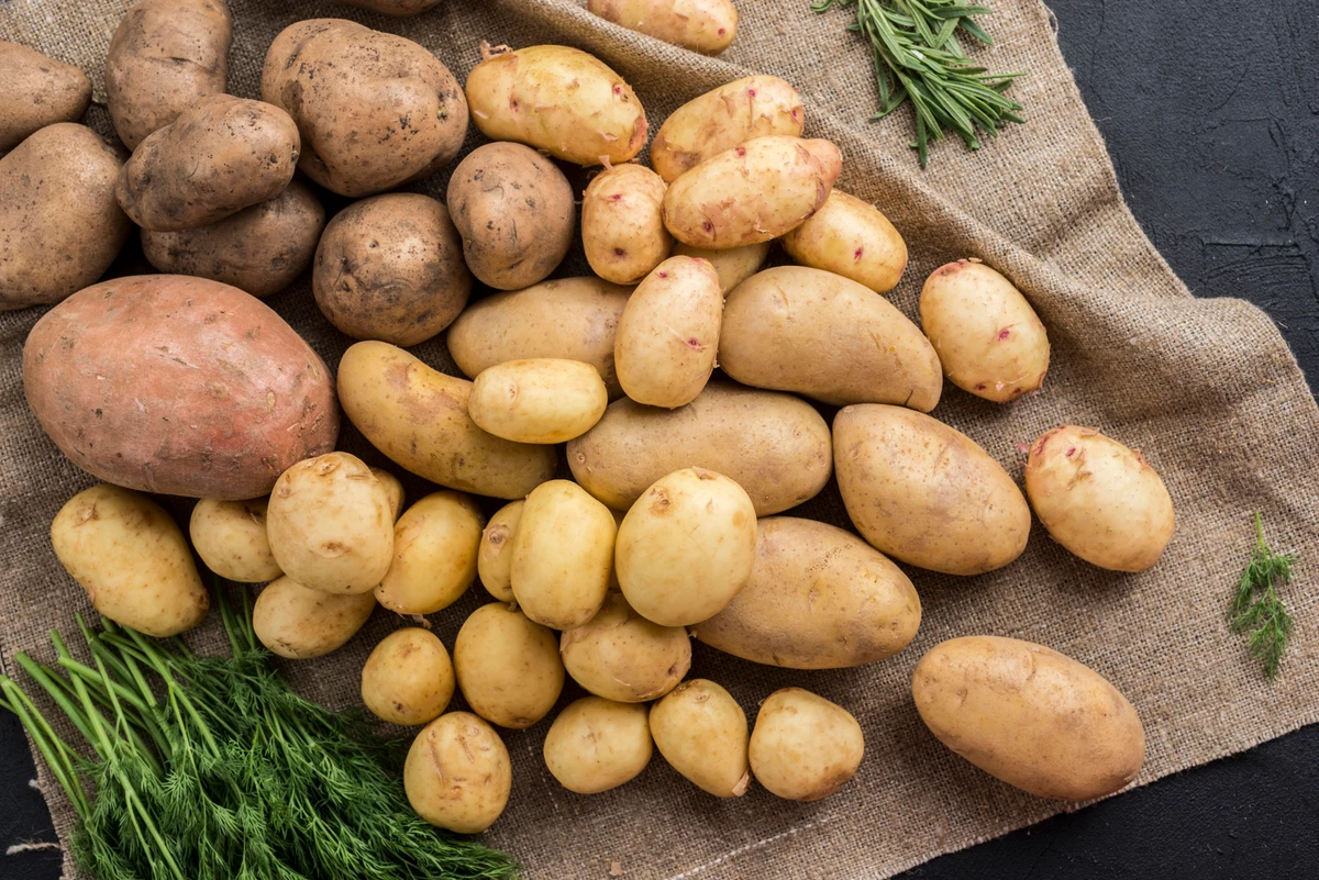 Especialista desvenda o mito e revela o método correto para aumentar a vida útil do alimento em semanas