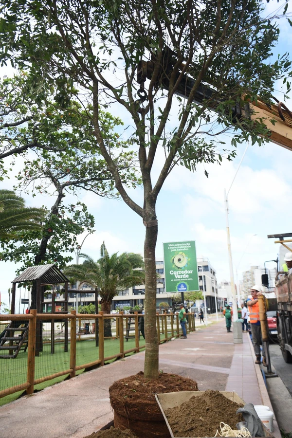 Lançamento do programa Corredor Verde pela Prefeitura de Salvador por Betto Jr./ Secom PMS