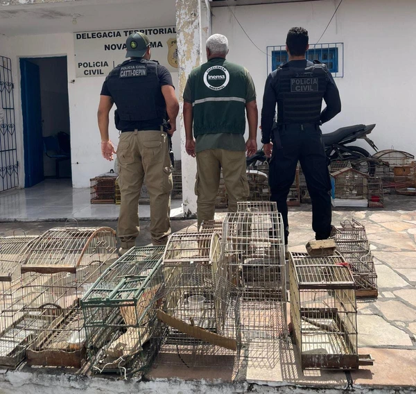 Mais de 200 aves silvestres são resgatadas de comércio ilegal na Bahia  por Divulgação/PC-BA