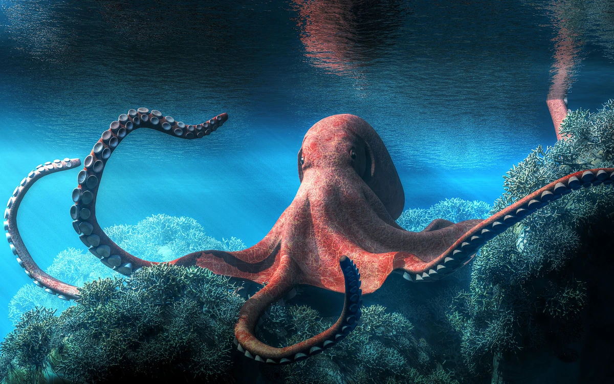 Polvo por Shutterstock