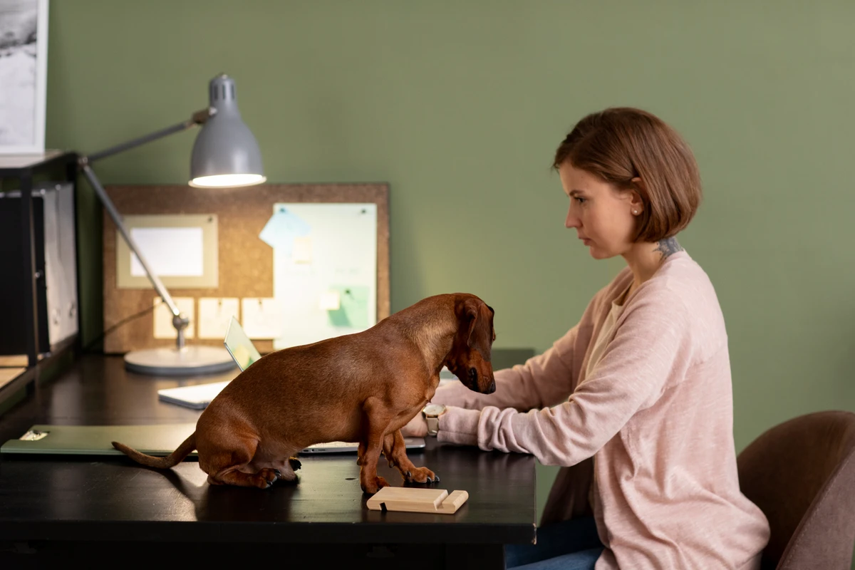 Pets por Reprodução | Freepik