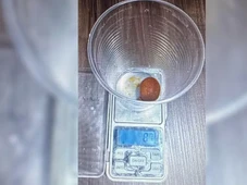 Imagem - Funcionário de frigorífico é preso por furtar parte de boi usada pela medicina avaliada em R$ 78 mil