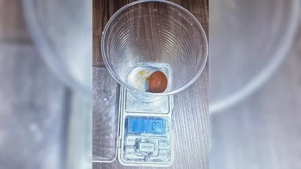 Funcionário de frigorífico é preso por furtar parte de boi usada pela medicina avaliada em R$ 78 mil