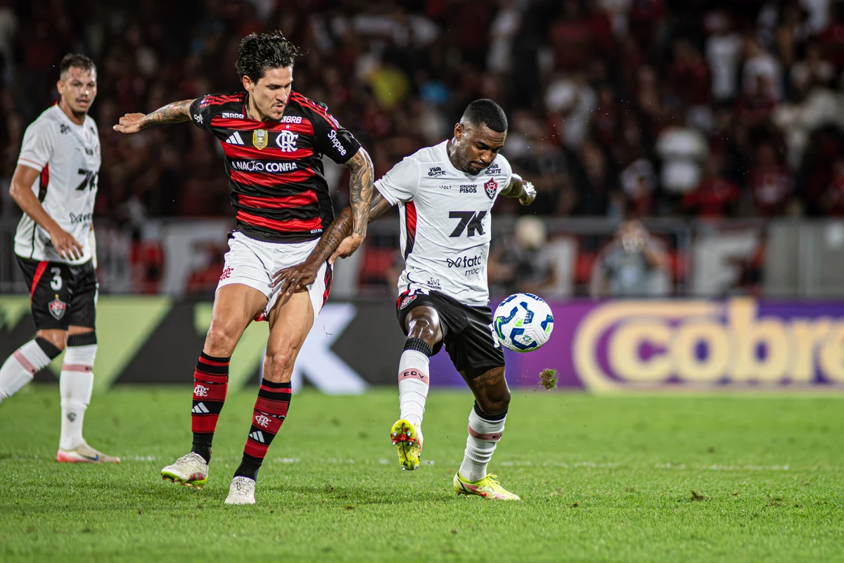 Flamengo 8 x 0 Vitória  por Victor Ferreira/EC Vitória