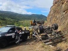 Imagem - Acidente deixa dois mortos após caminhão com cavalos tombar em estrada da Bahia