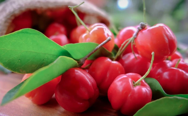 Frutas com vitamina C por Reprodução | Internet