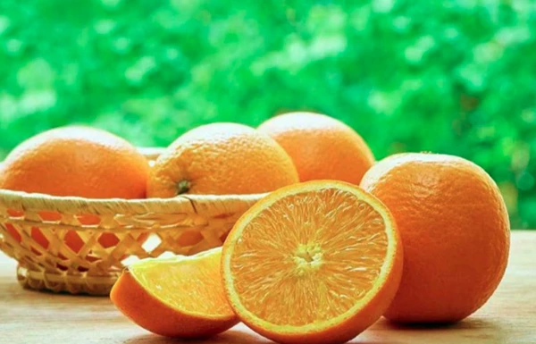 Frutas com vitamina C por Reprodução | Internet