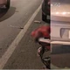 Imagem - Homem morto em briga de trânsito na BR-324 ameaçou outro motorista com facão