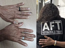 Imagem - Idosa resgatada de situação análoga à escravidão na Bahia foi separada do filho