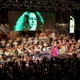 Imagem - Osba abre pré-venda de ingressos para concerto em homenagem a Gal