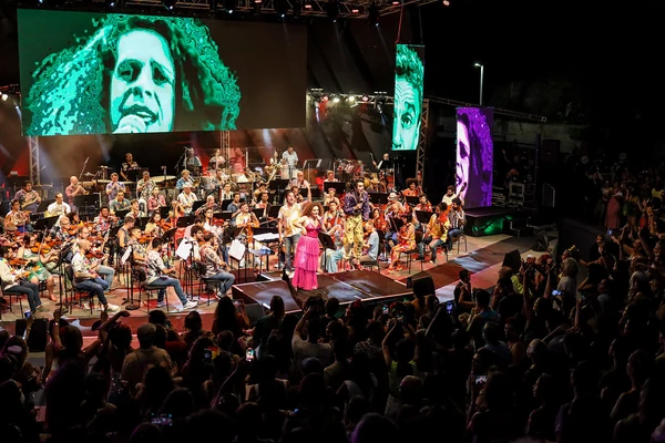 Concerto da Osba vai homenagear Gal Costa